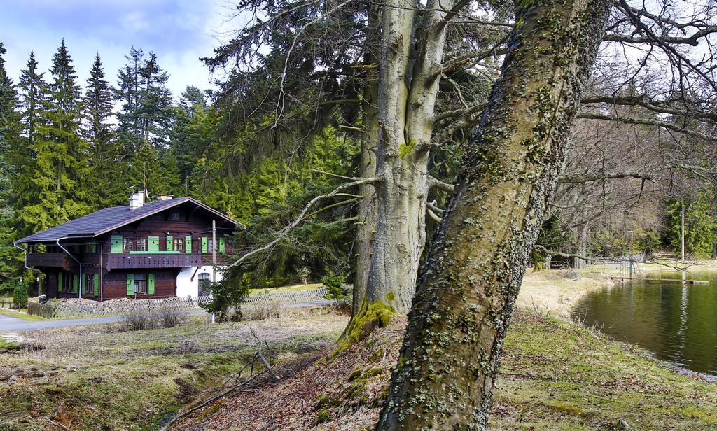 Apartment Kladska *